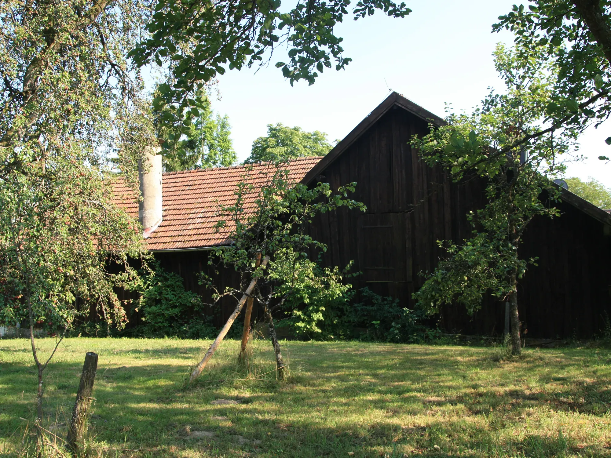 Scheune vor dem Umbau mit dunklem Holzgiebel zwischen Obstbäumen